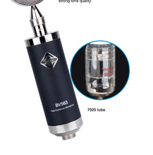 Load image into Gallery viewer, Alctron BV563 High performance professional large diaphragm tube condenser microphone for recording in the studio