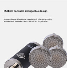 Load image into Gallery viewer, Alctron BV563 High performance professional large diaphragm tube condenser microphone for recording in the studio