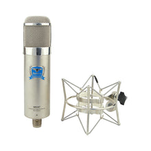Load image into Gallery viewer, Alctron MK47 Professional Large Diaphragm Tube Condenser Studio Microphone recording condenser mic for stage performance
